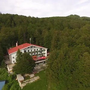 Bed & Breakfast Great Mountain